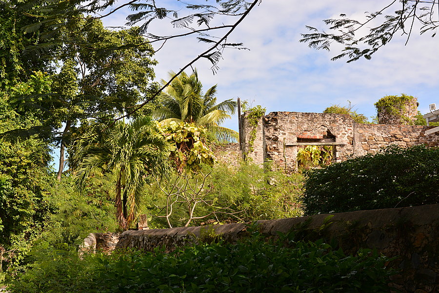 De Lyse Sider Rejseliv