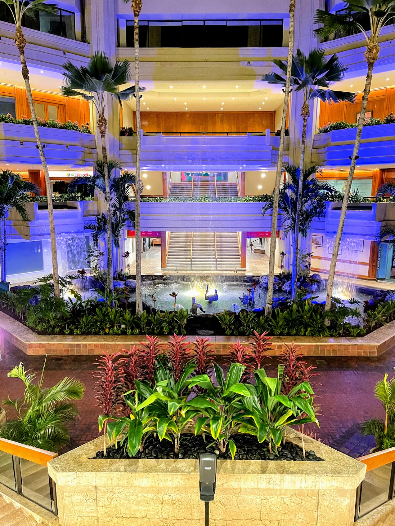 Hyatt Centric Waikiki vs. Hyatt Regency Waikiki DEM Flyers