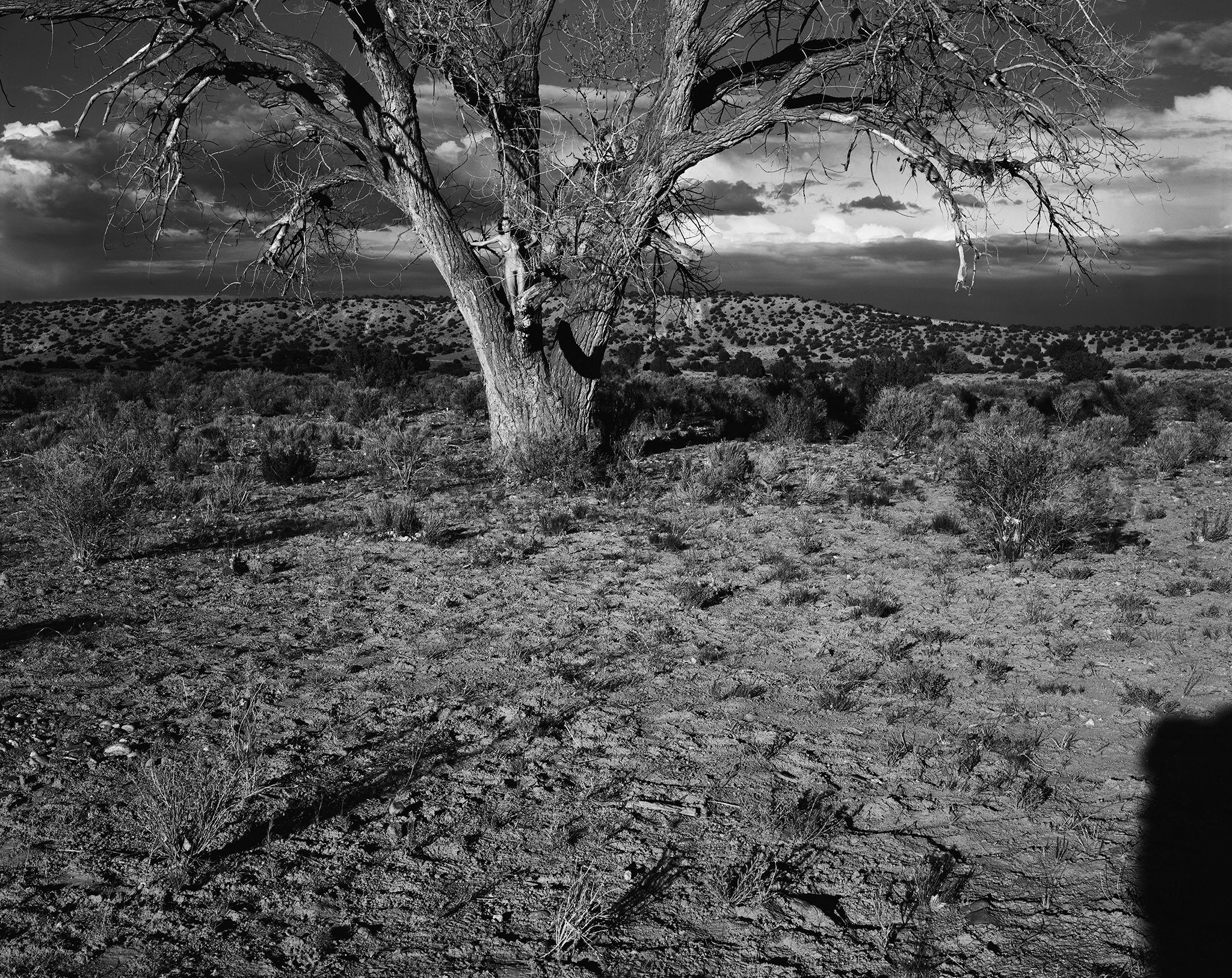 New Mexico Archives - Denis Piel