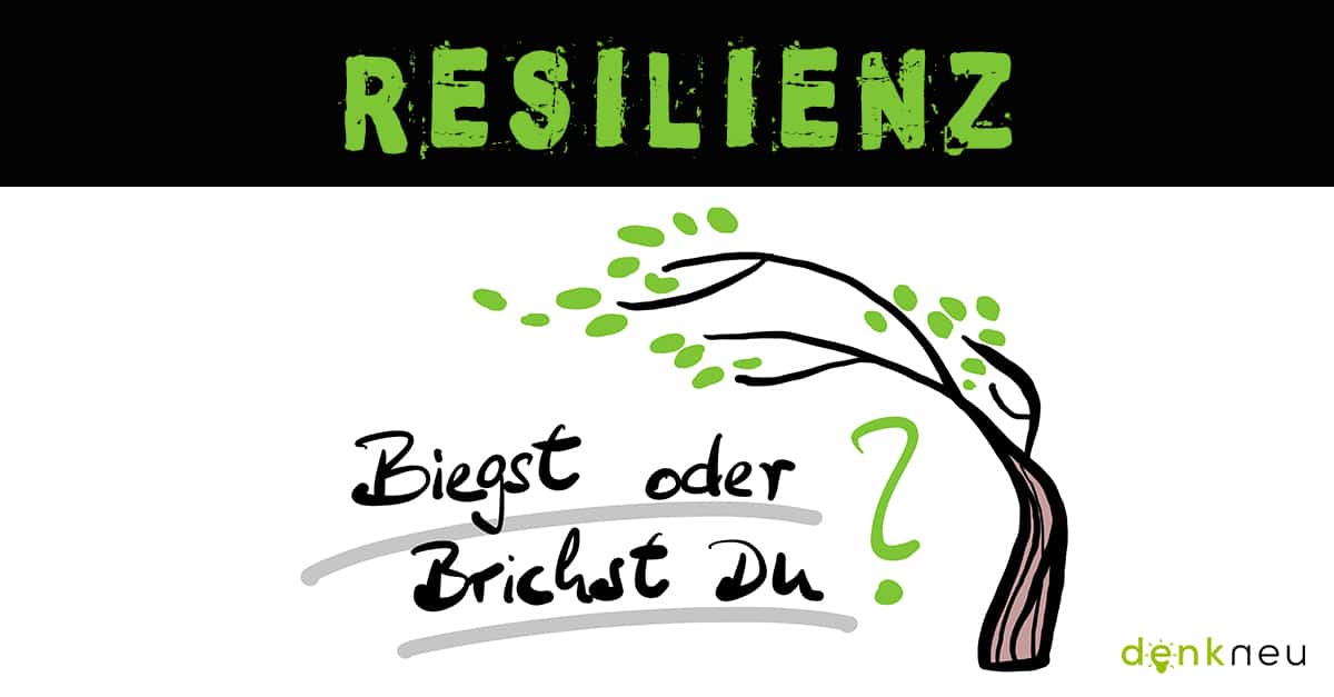 Resilienz fördern durch Führung Krisen erfolgreich vorbeugen