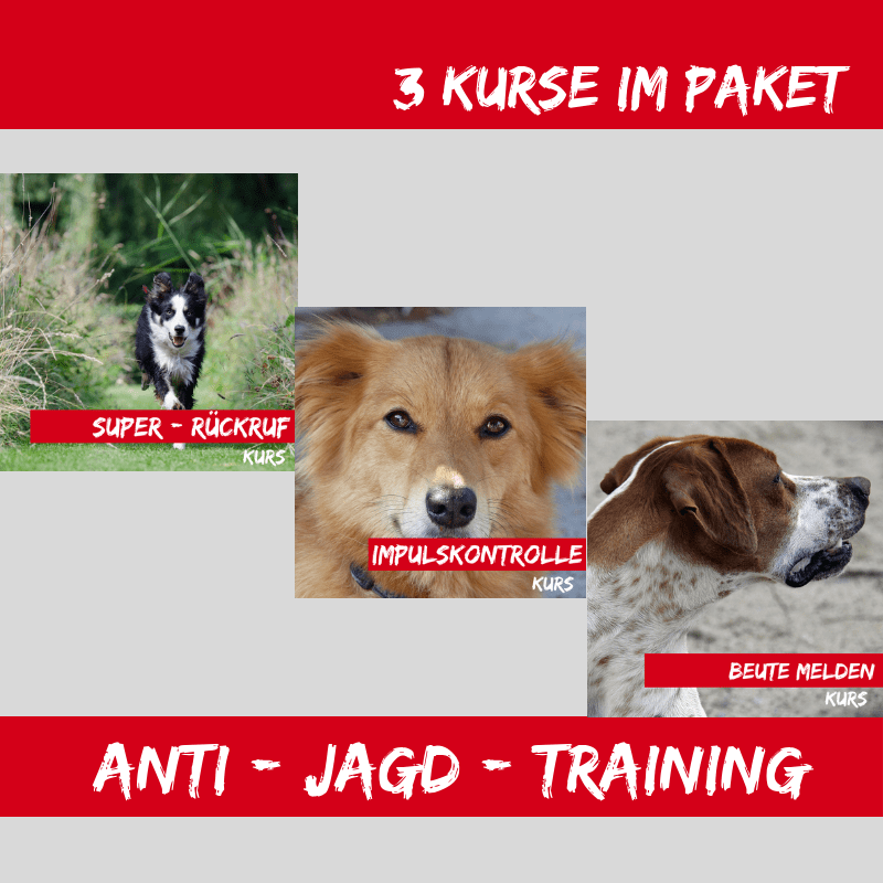 "antijagdtraining"