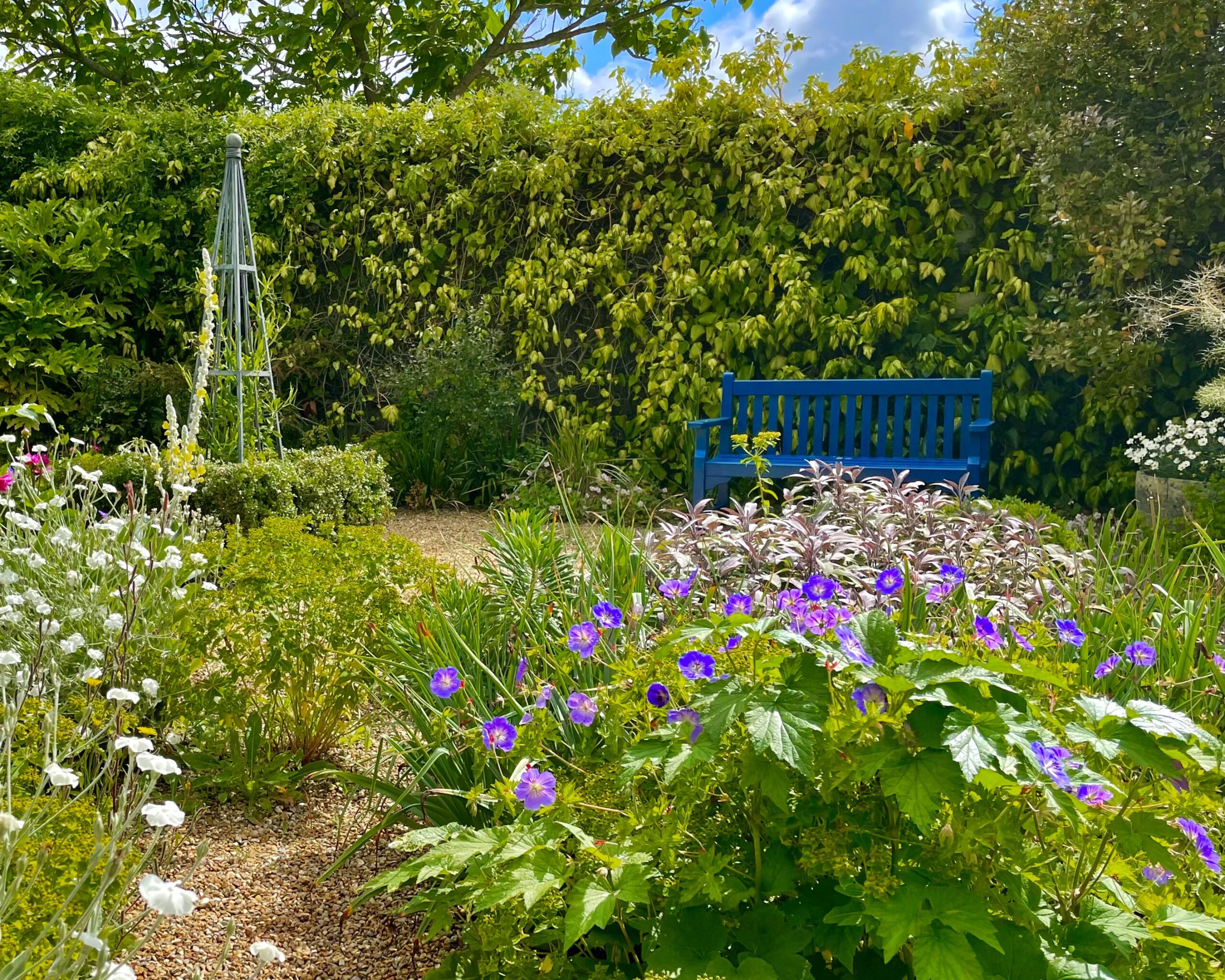 Are we your RHS Partner Garden of the Year 2021? DENMANS GARDEN