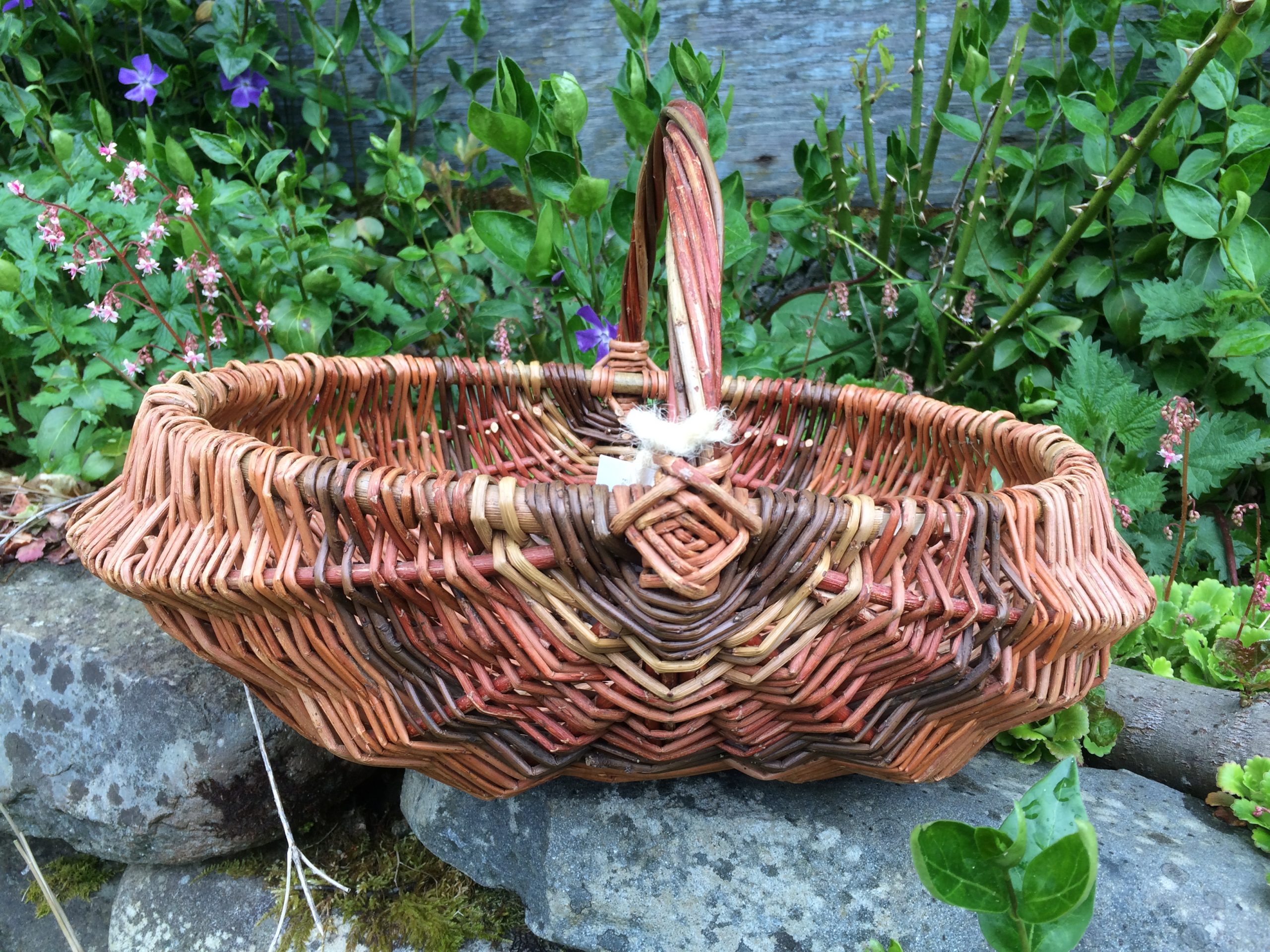 Willow Weaving Garden Trug FULLY BOOKED Denmark Farm Conservation Centre