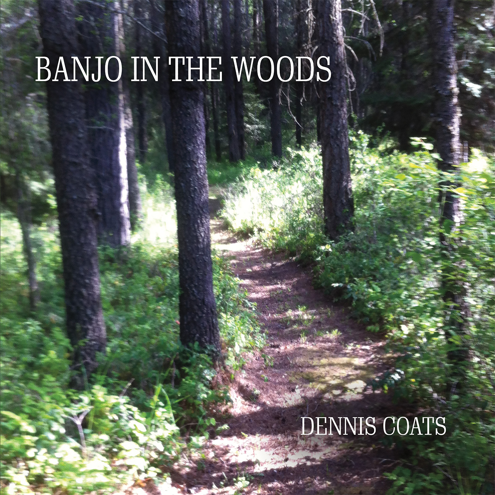 Banjo In The Woods CD Dennis Coats Music