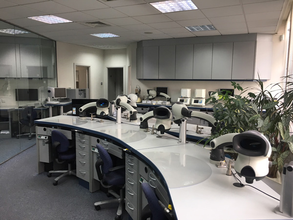The Laboratory Dental Excellence