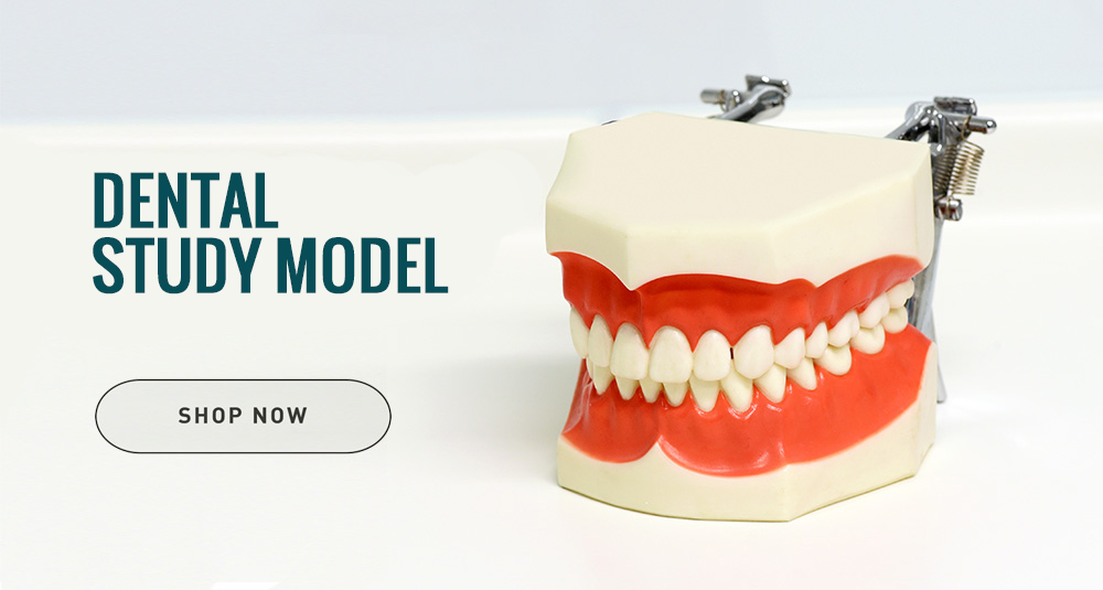 Dental Equipment Buy Dental Instruments, Dental Products, Orthodontic