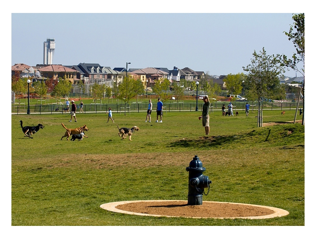 dogpark Central Park Denver (formerly Stapleton)
