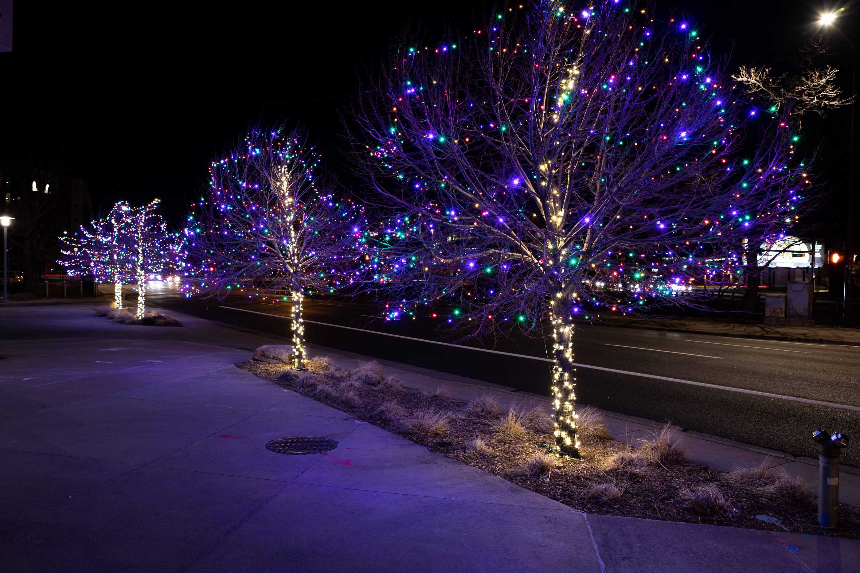 Gallery Christmas Light Service Denver CO