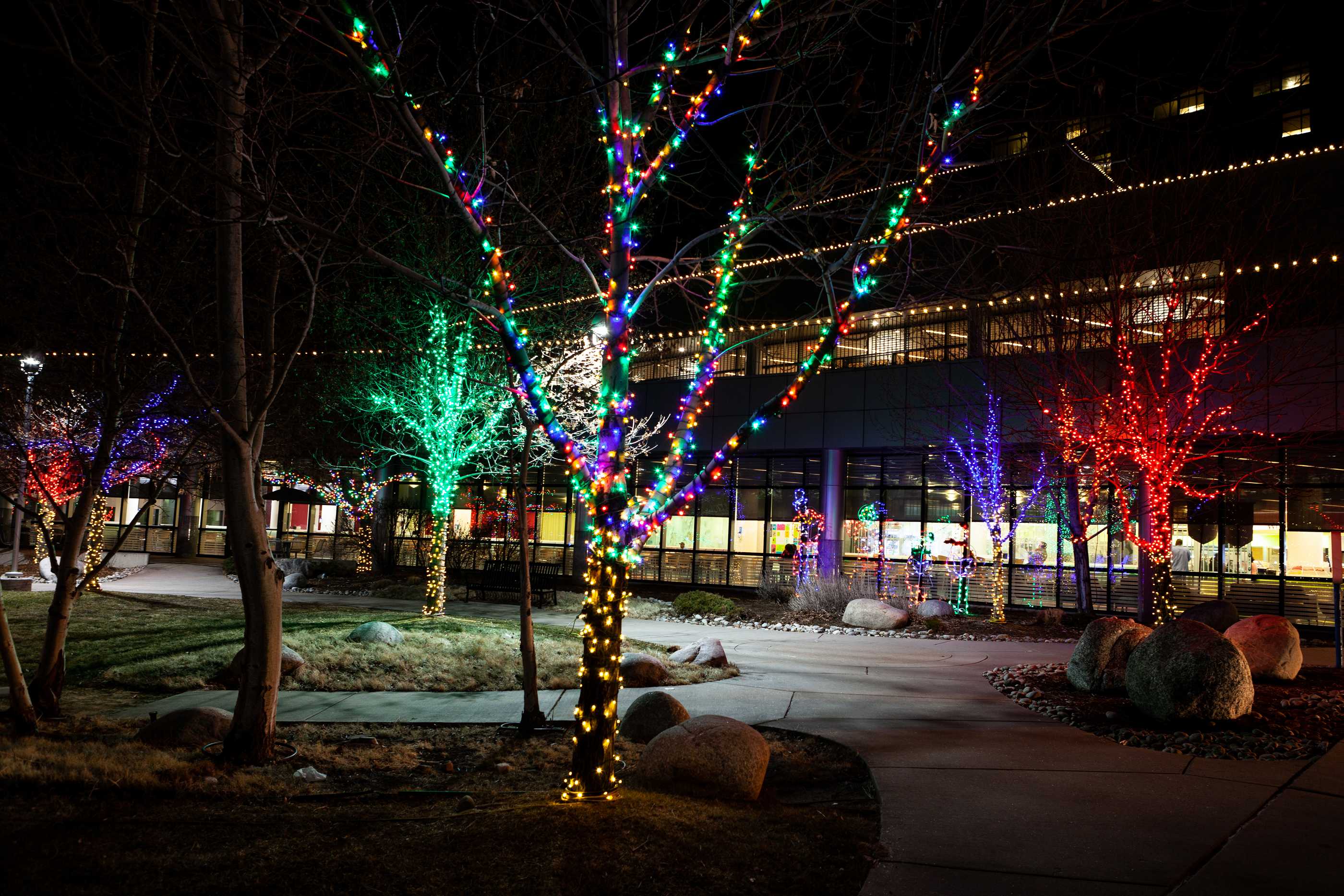 Gallery Christmas Light Service Denver CO