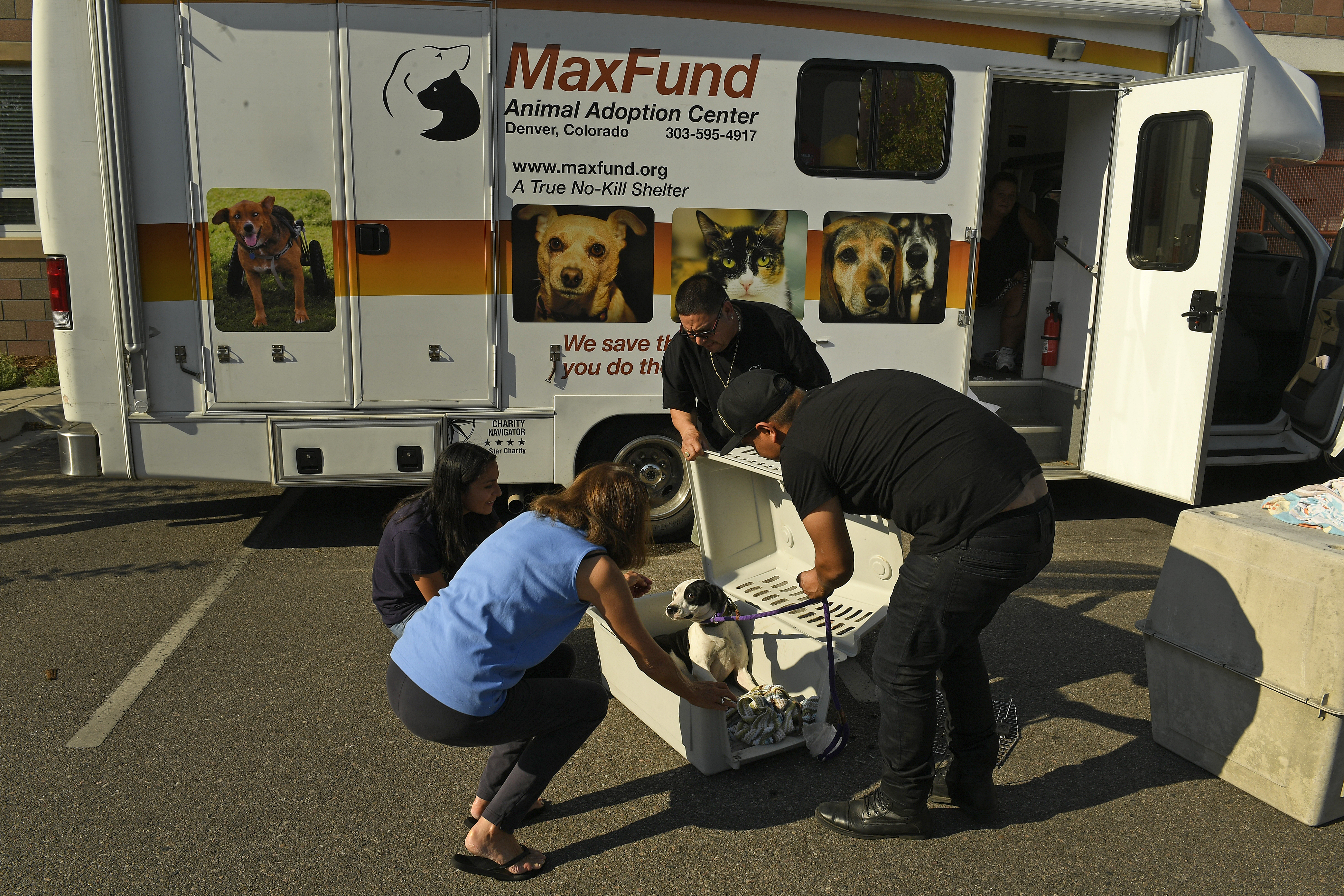 27 cats, 8 dogs rescued from Houston flooding arrive at MaxFund Denver