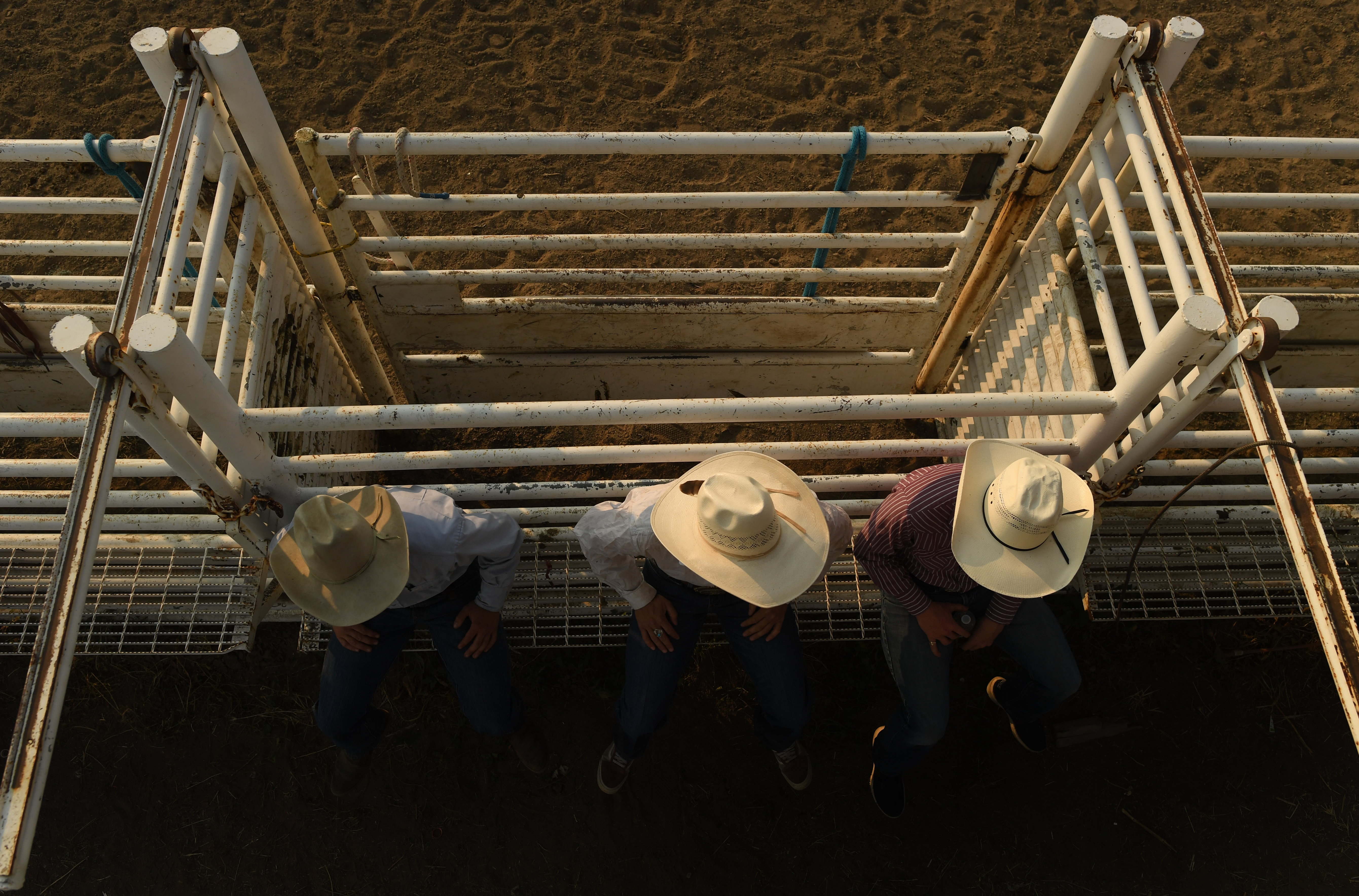 Cowboys hangout on the bucking shoots ...
