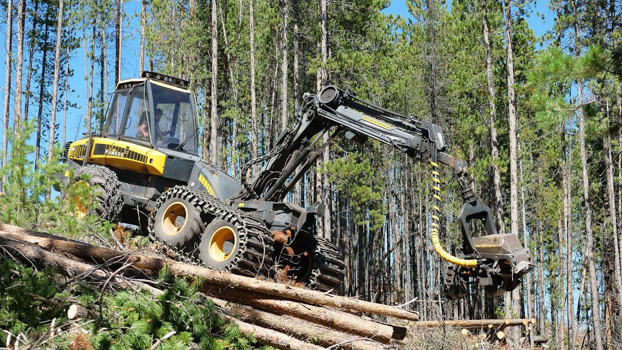 Big treecutting machine put to the test on steep slopes around Breckenridge Denver Water