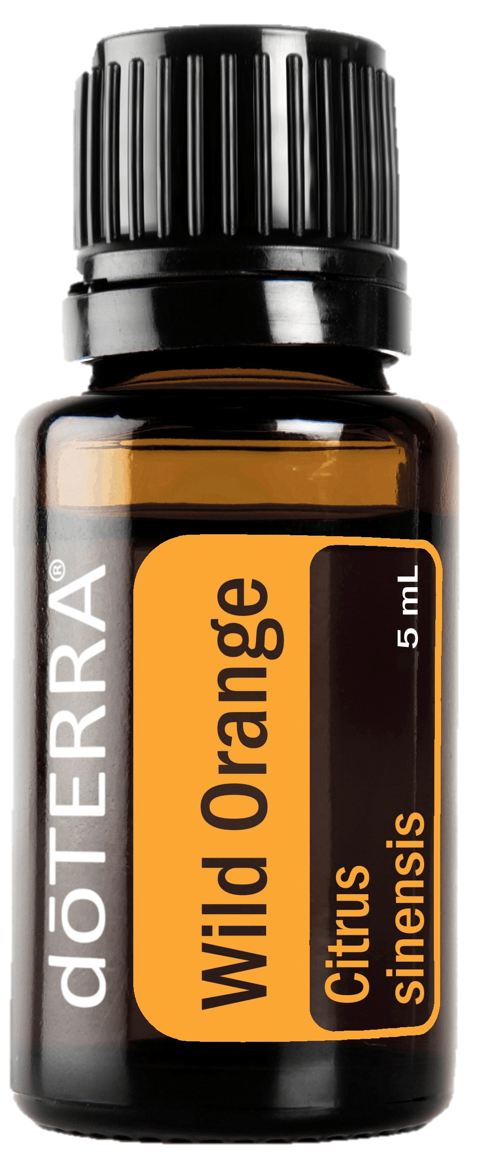 wild orange 5mL DoTERRA Essential Oils North Brisbane