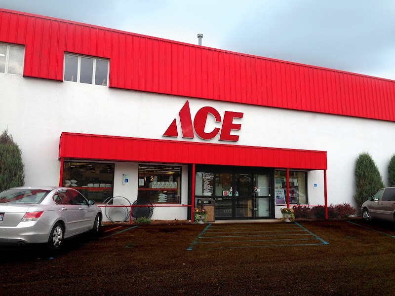 Discovering The Biggest 10 Ace Hardware Stores in Michigan