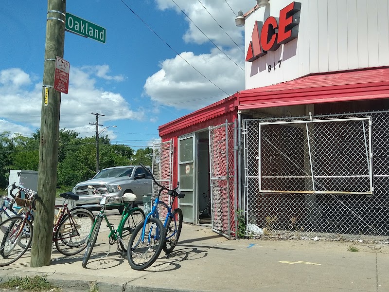 Discovering The Biggest 10 Ace Hardware Stores in Detroit MI