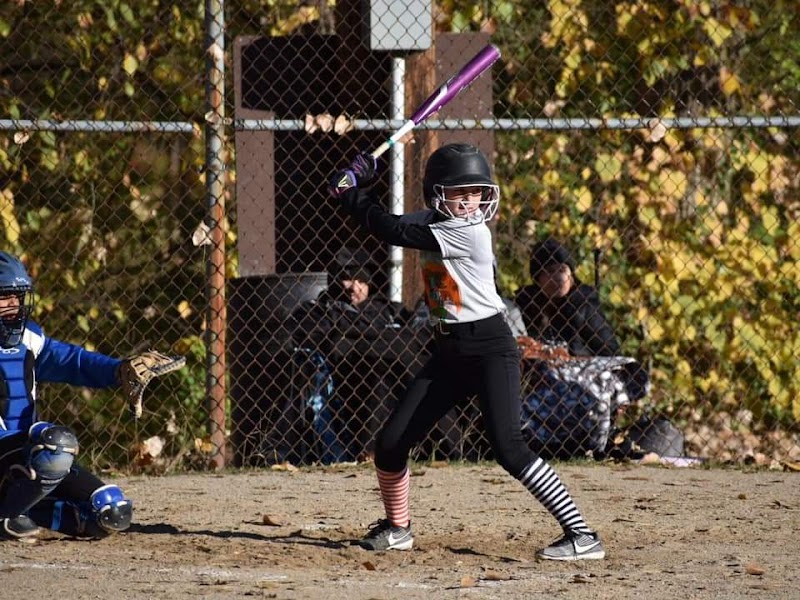 Experience 4 Superb Batting Cages in Lansing MI