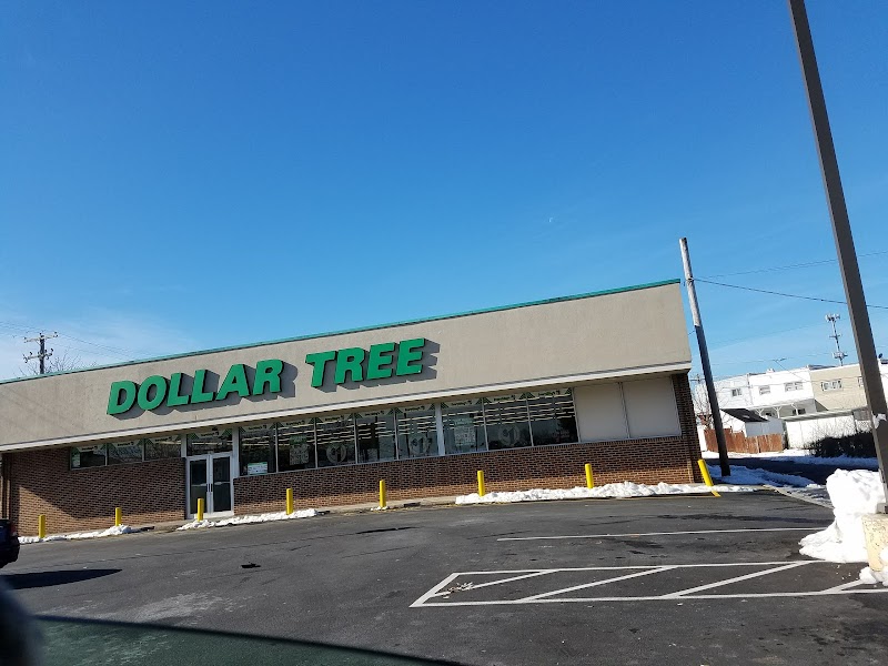 The 5 Largest Dollar Tree Store Locations in Allentown PA