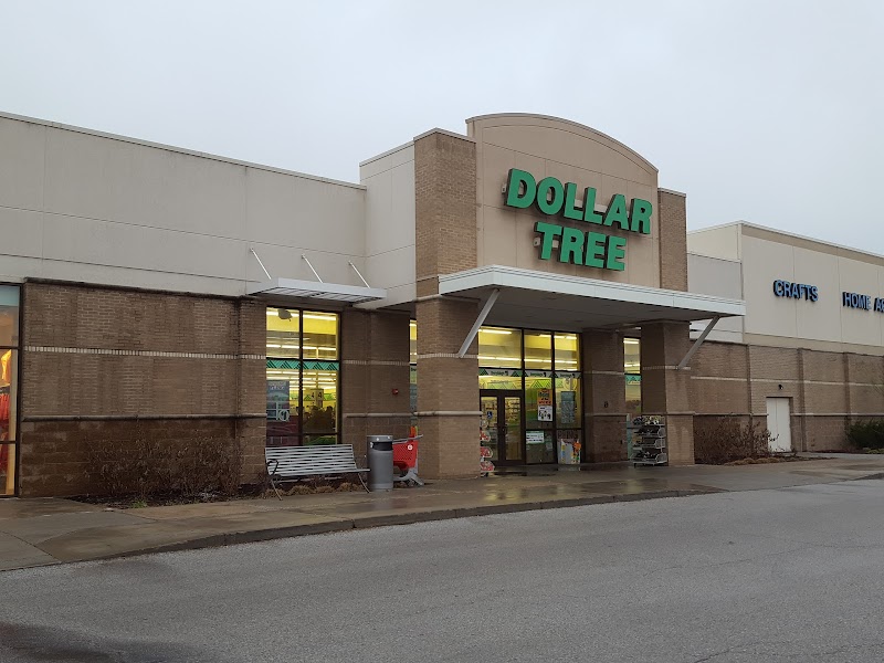 The 10 Largest Dollar Tree Store Locations in Iowa