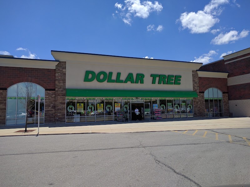 Unveiling the 10 Largest Dollar Tree in Toledo OH