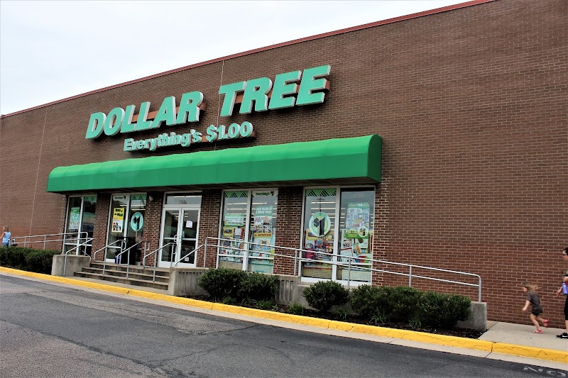 Discovering The Biggest 10 Dollar Tree Stores in Virginia