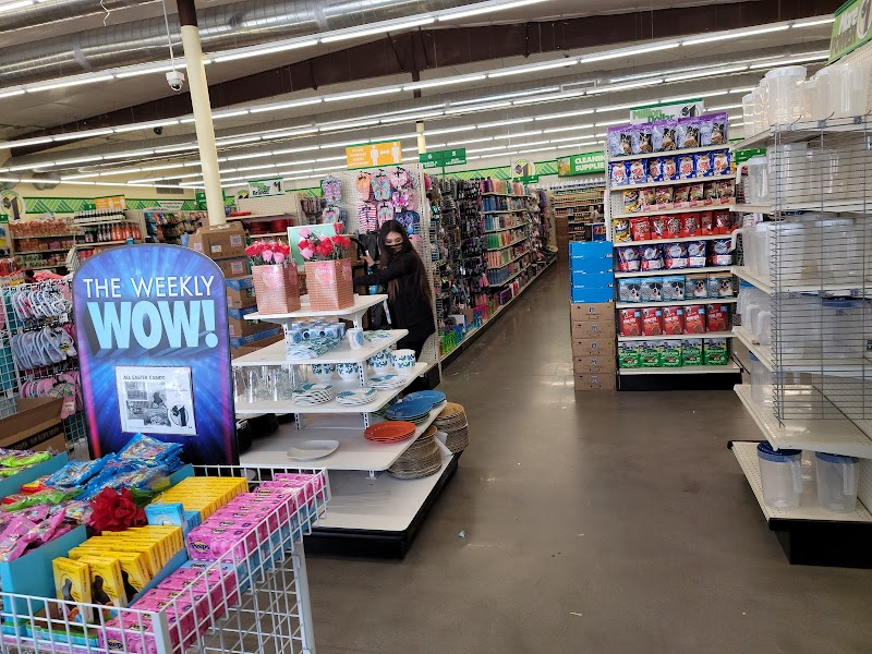 The 10 Largest Dollar Tree Store Locations in El Paso TX