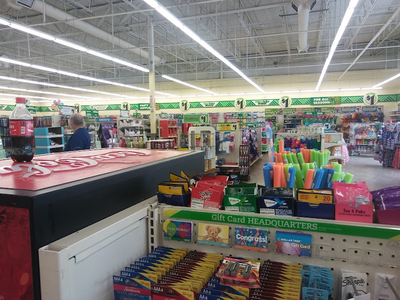 Discovering The Biggest 10 Dollar Tree Stores in Poughkeepsie NY