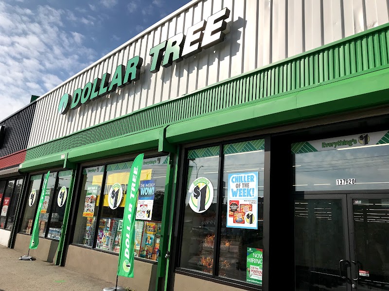 Unveiling the 10 Largest Dollar Tree in Queens NY