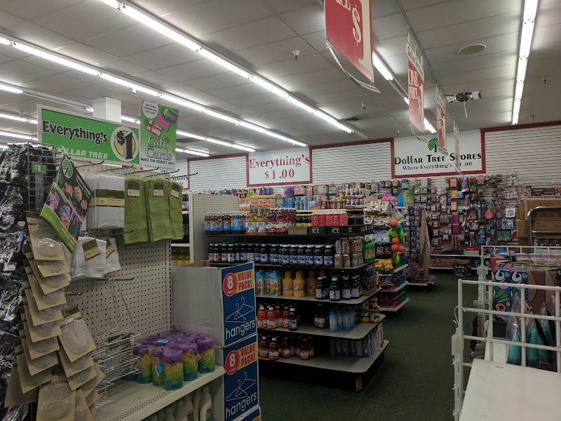 The 10 Largest Dollar Tree Store Locations in Reno NV