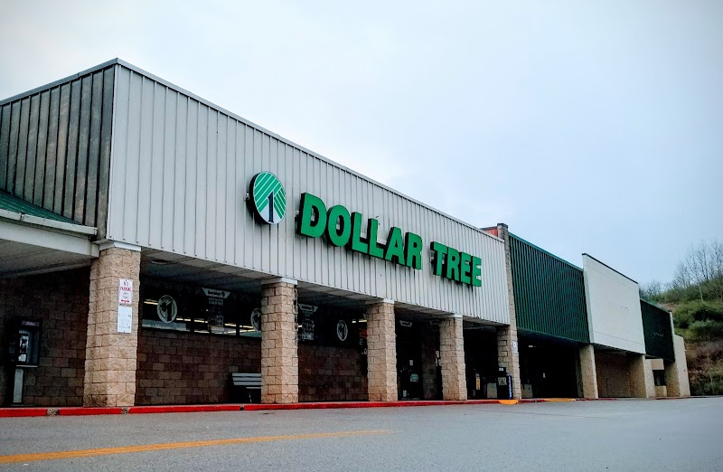 The 10 Biggest Dollar Tree Stores in West Virginia