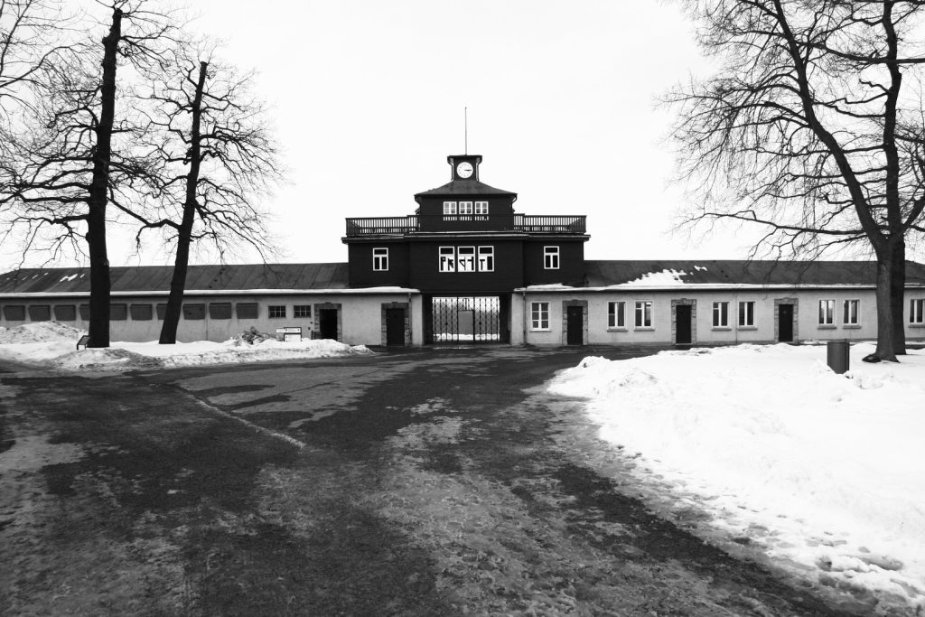 Buchenwald - Aned 683_x_1024_jpg