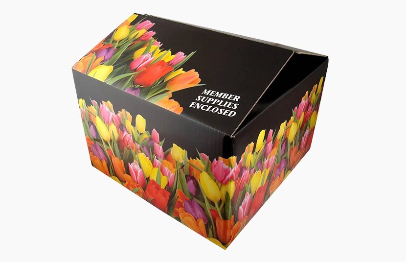 Corrugated Carton Boxes With Partitions Blog of Shanghai DE Printed Box