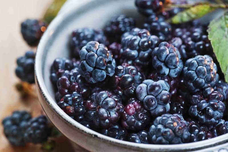 10 World Top Foods that Improve Eyesight Depth World