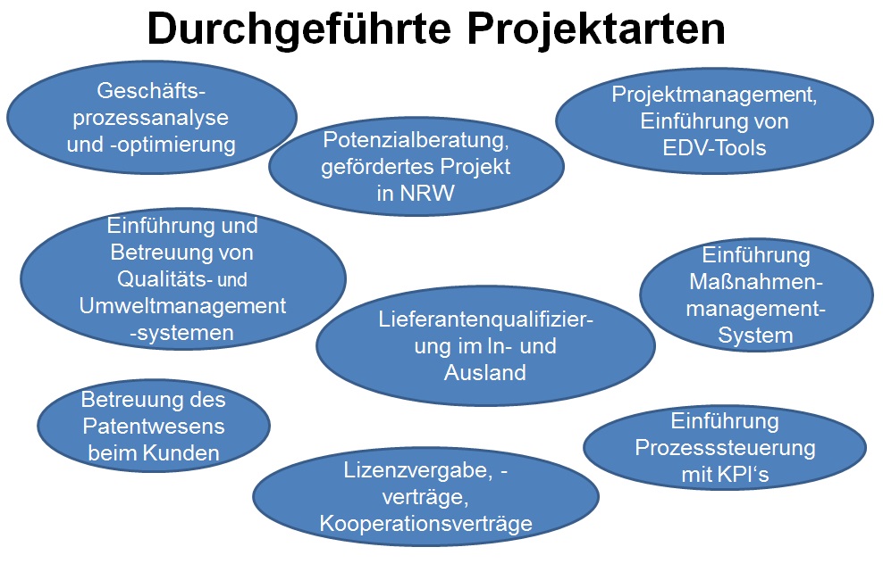 FMS Projekterfahrung Fascher Management Support