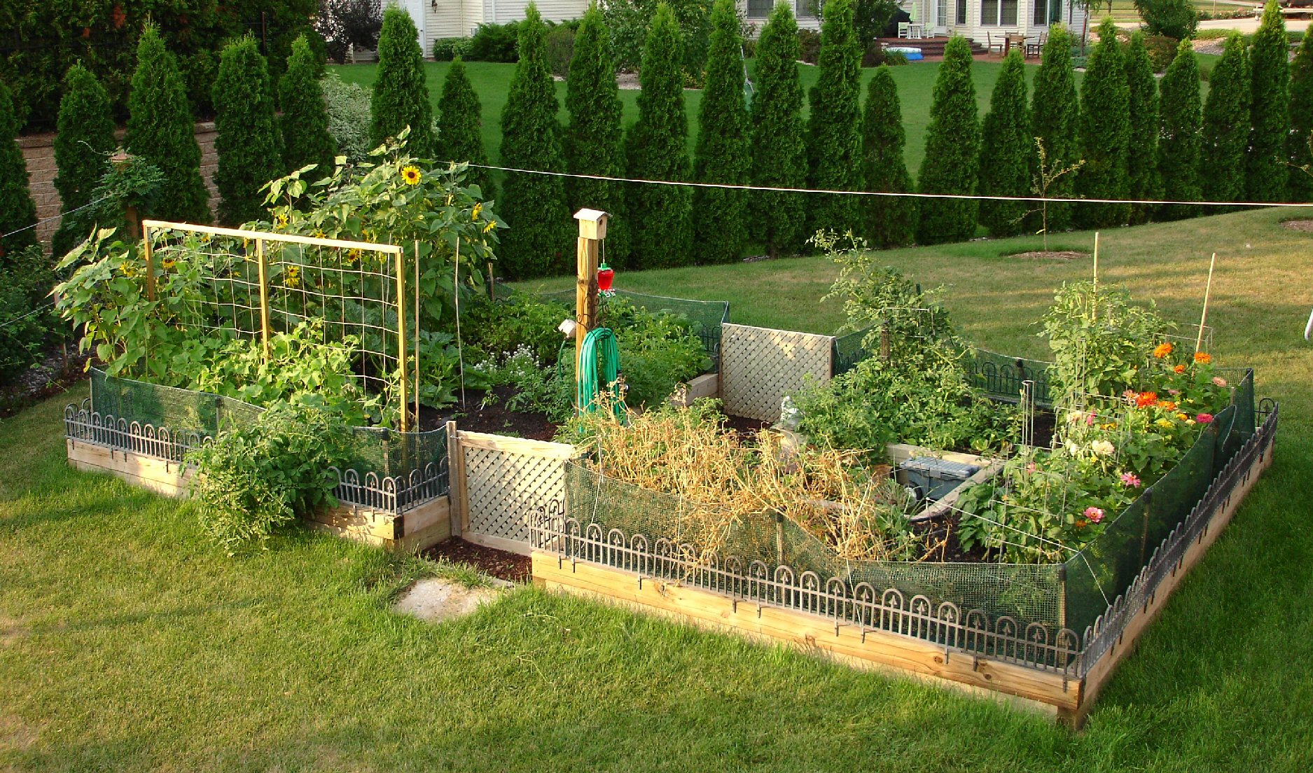 Desertscape Landscaping of Appleton