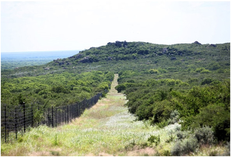 Featured Property Loma Pinta Ranch, McMullen County Desert Flower Realty