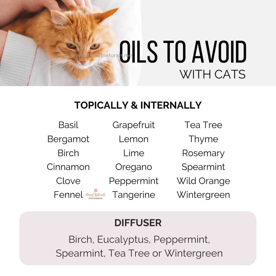 Essential Oils Safe For Cats Desert Naturals doTERRA Essential Oils