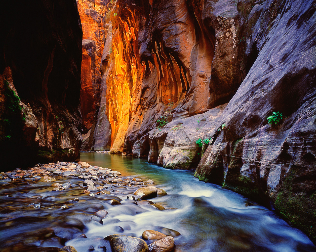 Zion National Park