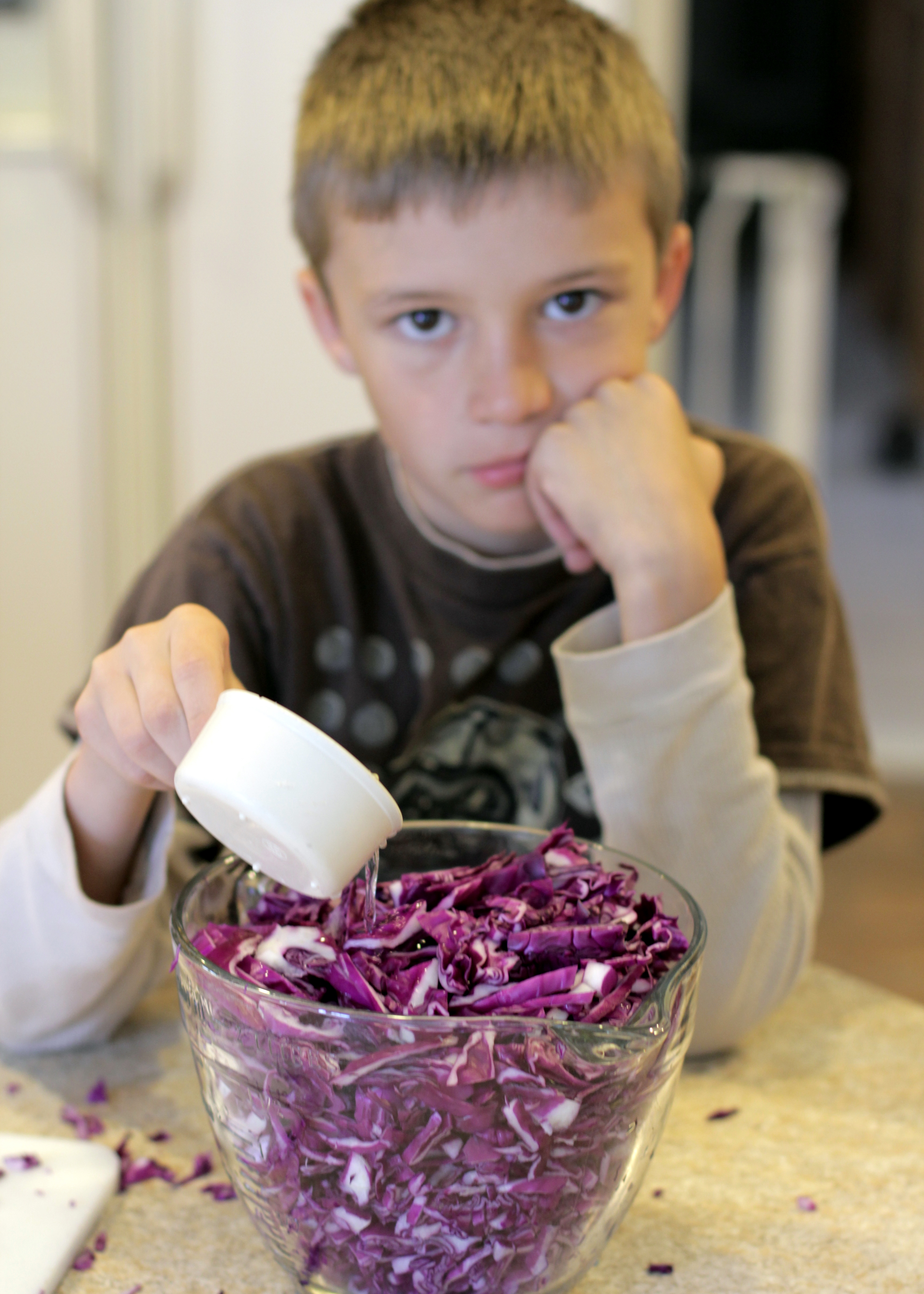 Acids and Bases Red Cabbage pH indicator DesertWind