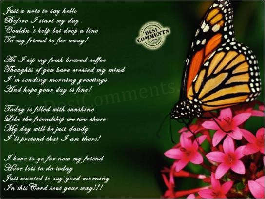 Just a note to say hello