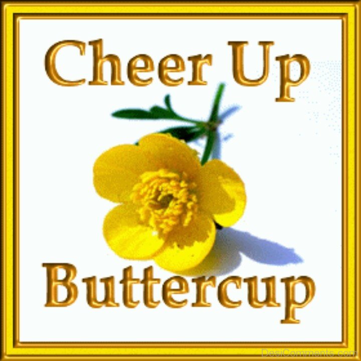 Cheer Up Pictures, Images, Graphics