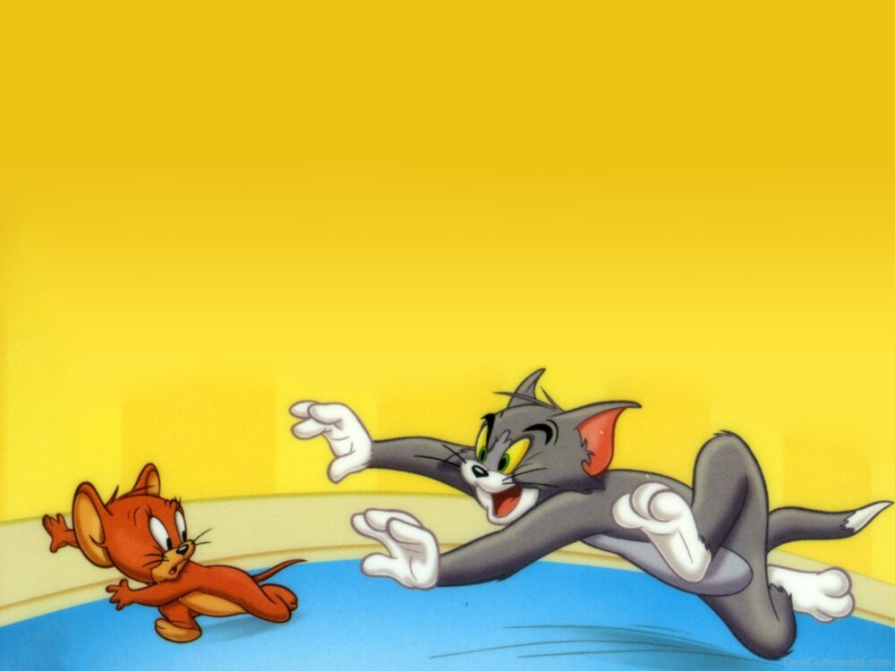 Tom Catching Jerry Desi Comments