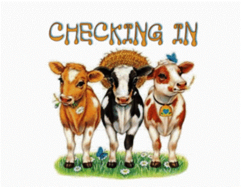 70+ Checking In Images, Pictures, Photos