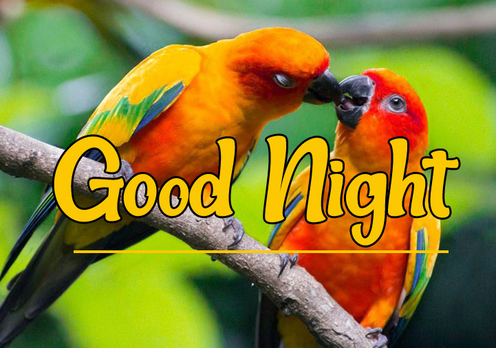 50 Fantastic Good Night Images Desi Comments