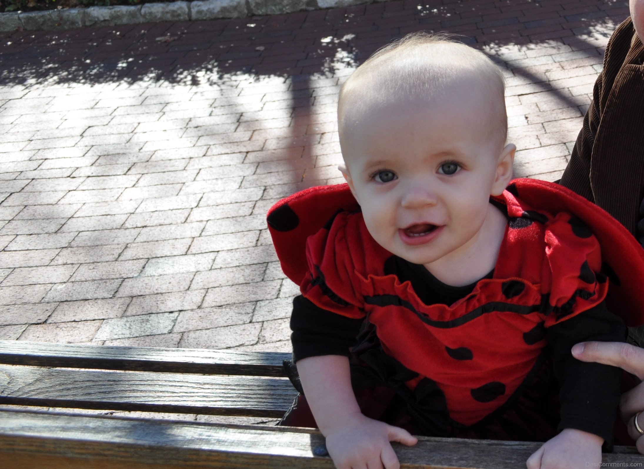 Baby Girl In Beautiful Dress Desi Comments