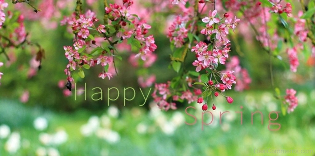 Happy Spring Image