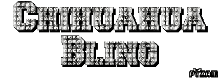 Bling Bling Dollar Sign - DesiGlitters.com