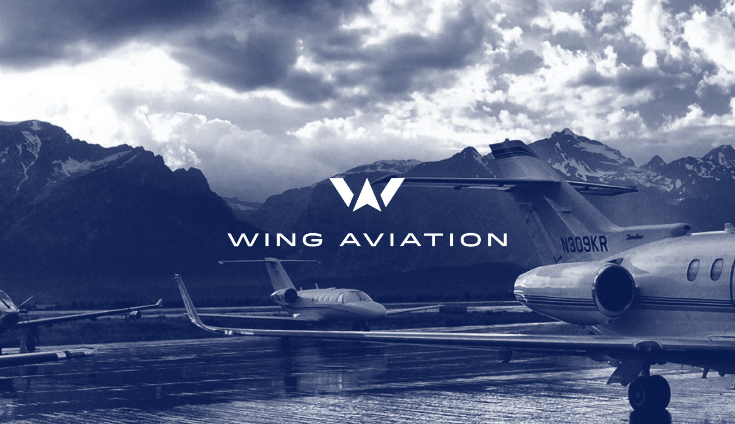 Wing Aviation PRINCIPLE