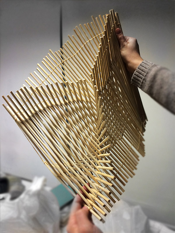 designcoding Basic Design 2015 Final Project Sagano