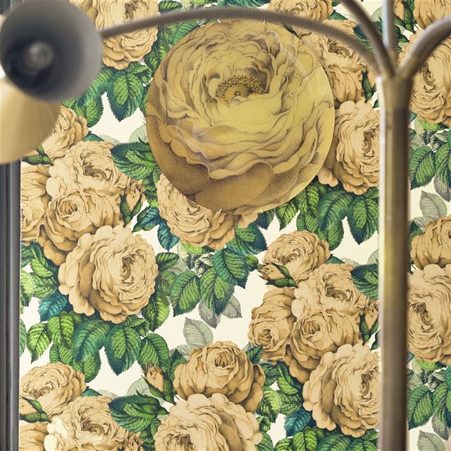 The Rose Sepia Wallpaper John Derian Designers Guild