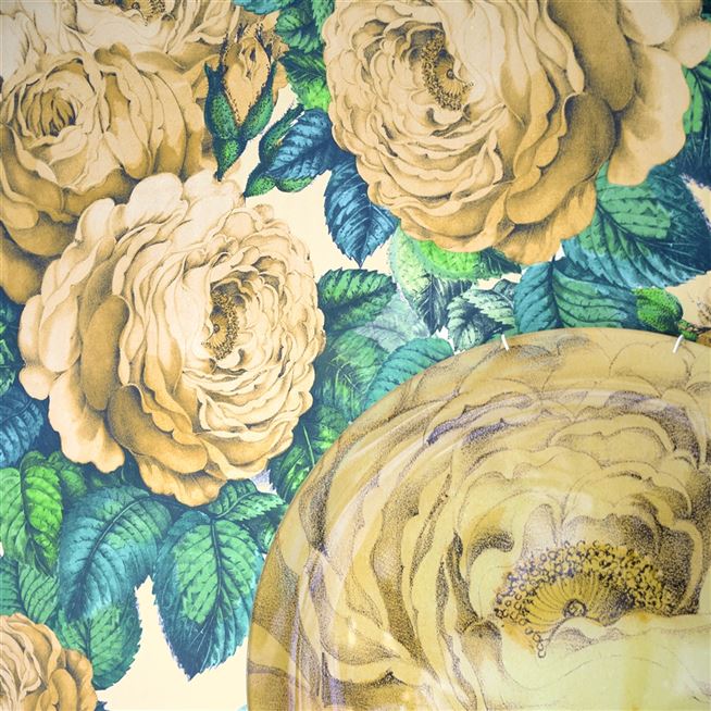 The Rose Sepia Wallpaper John Derian Designers Guild